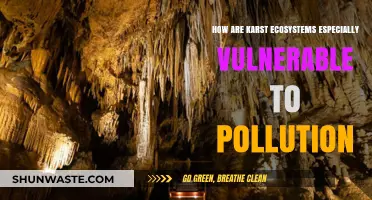 Karst Ecosystems: Pollution's Perfect Storm
