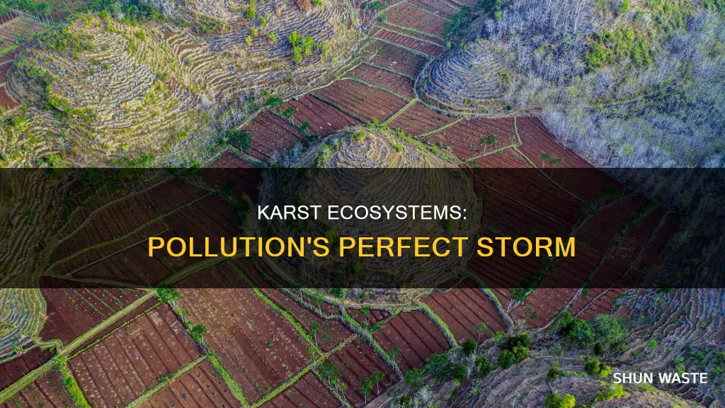 how are karst ecosystems especially vulnerable to pollution