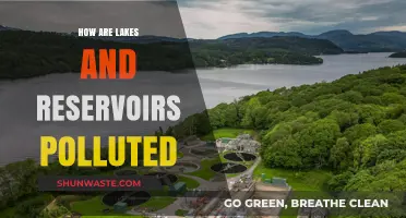Lakes and Reservoirs: Pollution Sources and Prevention