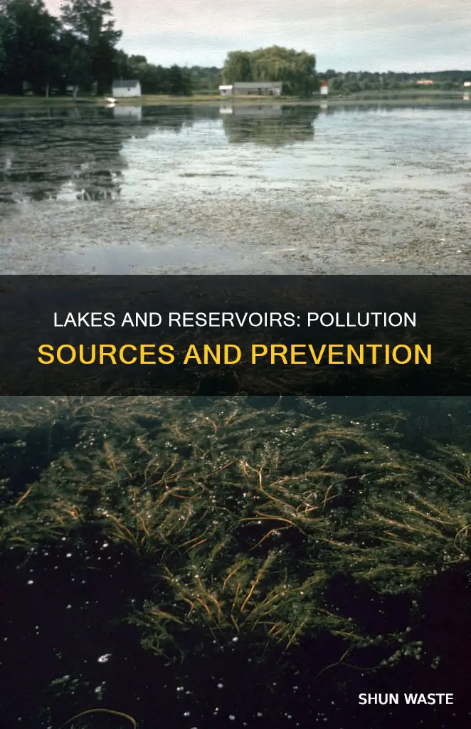 how are lakes and reservoirs polluted
