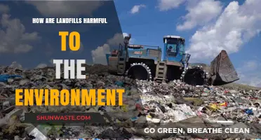 Landfills' Devastating Environmental Impact: Pollution, Greenhouse Gases, and Habitat Destruction