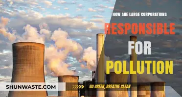 Corporate Accountability for Environmental Pollution: Who Pays the Price?