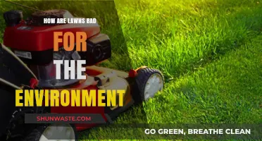 The Hidden Environmental Costs of Maintaining a Perfect Lawn