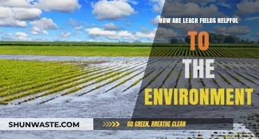 Leach Fields: Eco-Friendly Wastewater Solutions for a Greener Environment