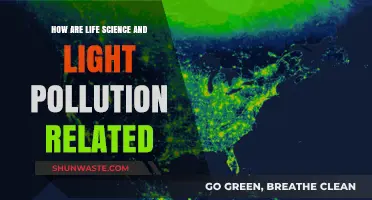 Light Pollution: Impact on Life Sciences