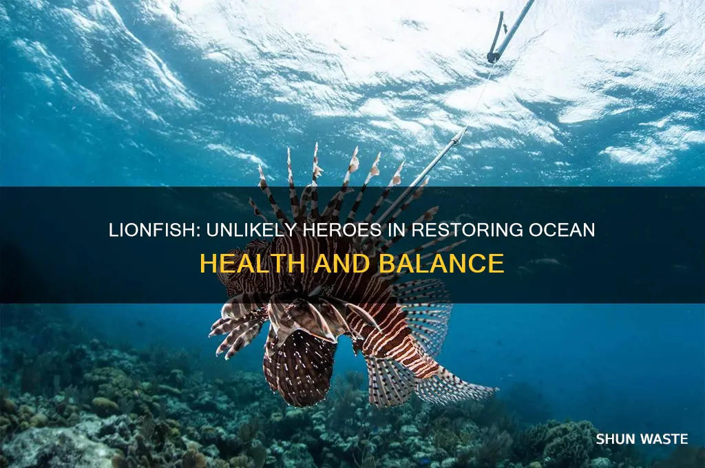 how are liofish helping the environment