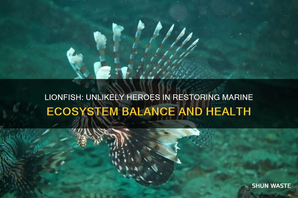 how are lionfish helping the environment
