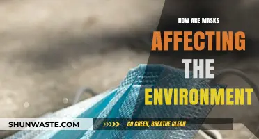 Mask Pollution Crisis: Environmental Impact of Disposable Face Masks