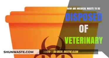Safe Veterinary Medical Waste Disposal: Essential Practices and Guidelines