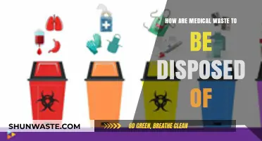 Safe Medical Waste Disposal: Essential Guidelines for Healthcare Facilities