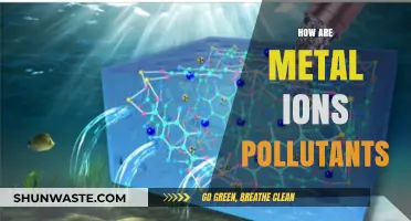 Metal Ions: Toxic Invaders in Our Environment