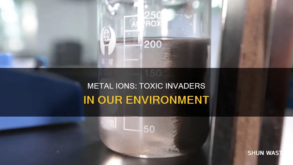 how are metal ions pollutants