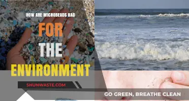 Microbeads' Environmental Impact: Harmful Effects on Ecosystems and Wildlife