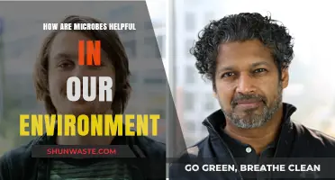 Microbes: Unseen Heroes Shaping Our Environment's Health and Balance