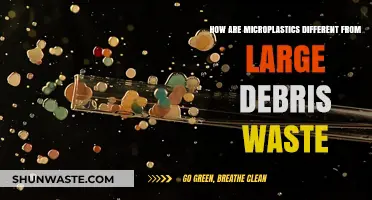 Microplastics vs. Large Debris: Key Differences and Environmental Impacts