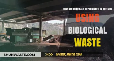 Revitalizing Soil: Biological Waste's Role in Mineral Replenishment