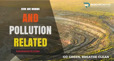 Mining's Dark Side: Pollution and Environmental Degradation