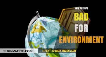 The Environmental Impact of NFTs: Uncovering Their Hidden Carbon Footprint