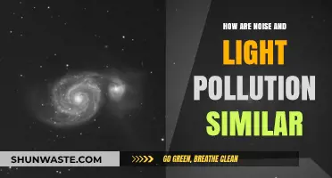 Noise and Light Pollution: Similarities and Harmful Effects