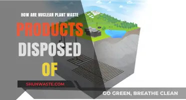 Safe Disposal of Nuclear Plant Waste: Methods and Challenges Explained
