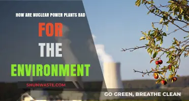 Nuclear Power Plants: Environmental Risks and Long-Term Ecological Impacts