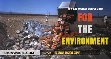 Nuclear Weapons' Devastating Environmental Impact: Pollution, Destruction, and Long-Term Consequences