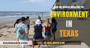 Nurdles in Texas: Tiny Plastic Pellets, Massive Environmental Crisis