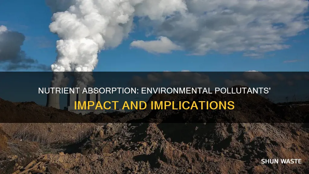 how are nutrients affected by environmental pollutants