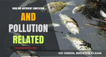 Nutrient Pollution: Limiting Excess, Protecting Ecosystems