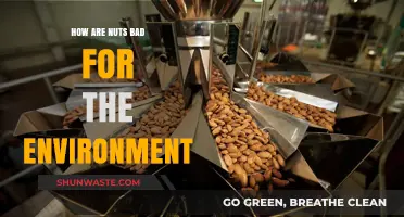 Nuts' Hidden Environmental Impact: Uncovering the Surprising Ecological Costs
