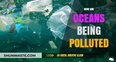 The Devastating Impact: Polluting Our Oceans
