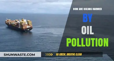 Oil Pollution: Oceans in Danger