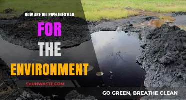 Oil Pipelines' Devastating Environmental Impact: Pollution, Destruction, and Climate Risks