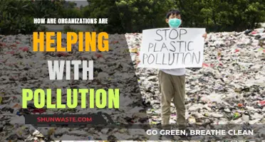 Green Initiatives: Businesses Leading the Fight Against Pollution