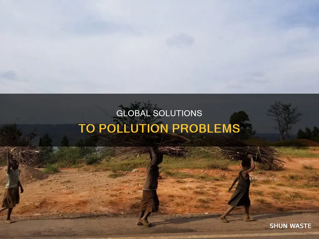 how are otehr countries fixing their pollution problems