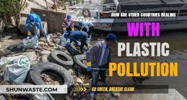 Global Efforts to Combat Plastic Pollution