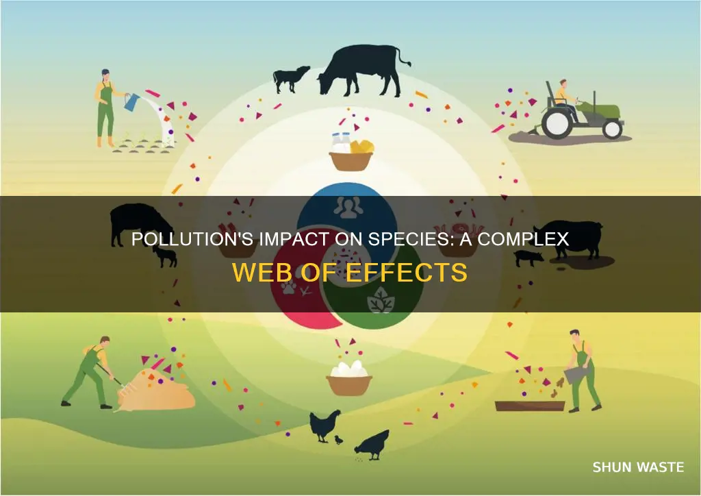 how are other species affected by pollution