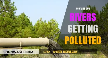 Rivers: Polluted and Plundered