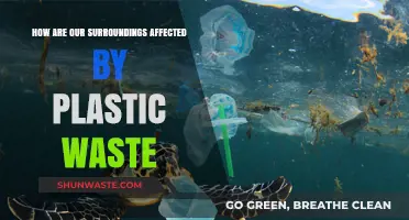 Plastic Pollution Crisis: Devastating Impacts on Our Environment and Ecosystems