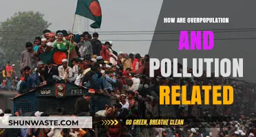 Overpopulation and Pollution: A Cycle of Environmental Decay