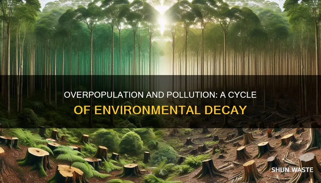 how are overpopulation and pollution related