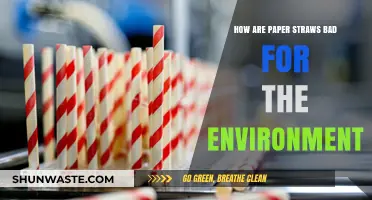 Paper Straws' Hidden Environmental Impact: Are They Truly Eco-Friendly?