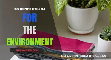 Paper Towels' Hidden Environmental Impact: Uncovering Their Ecological Footprint