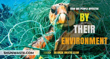 Environment's Impact: Shaping Lives, Behaviors, and Human Experiences Daily