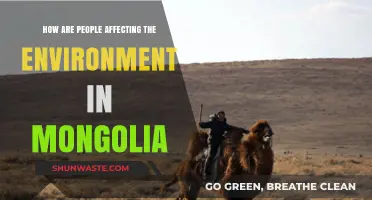 Human Impact on Mongolia's Environment: Challenges and Consequences