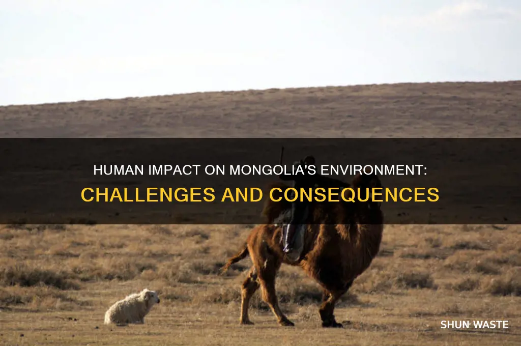 how are people affecting the environment in mongolia
