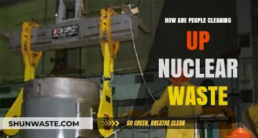 Innovative Methods for Safely Cleaning Up Nuclear Waste Today