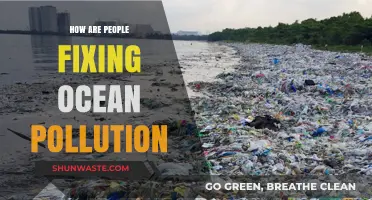 Innovative Solutions to Combat Ocean Pollution