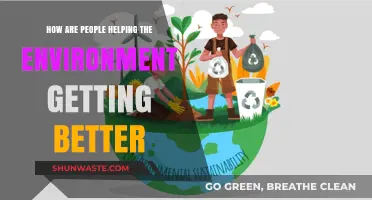 Sustainable Actions: How Individuals Are Transforming Our Environment for the Better