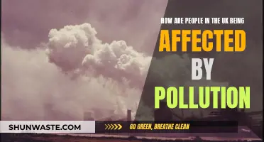 UK Pollution: A Health Crisis for the Nation